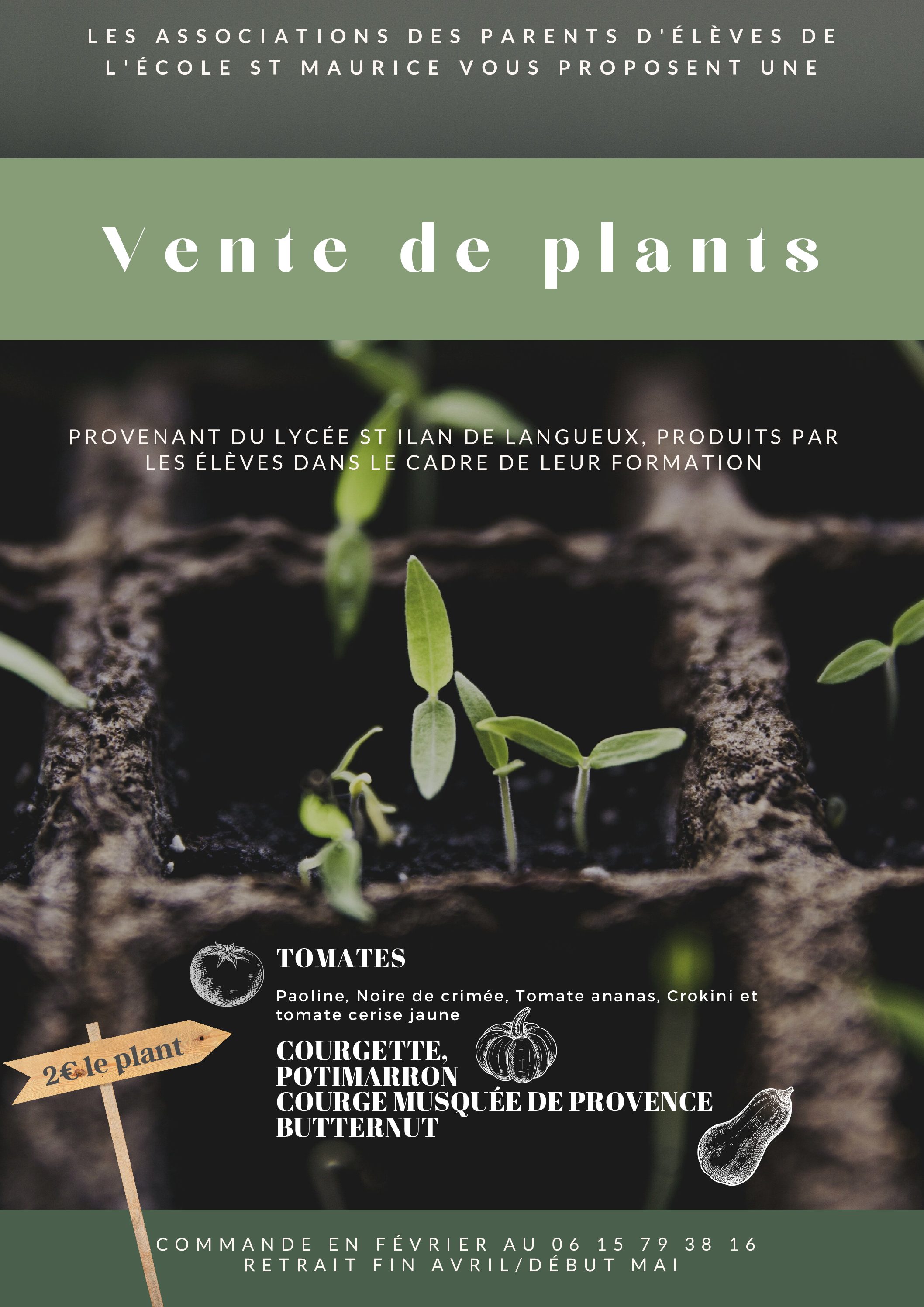 Vente de plants