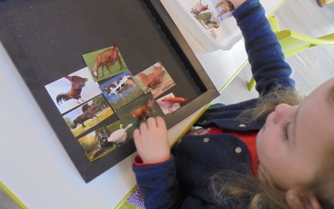 De nouveaux ateliers Montessori sur la ferme !